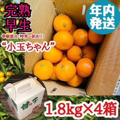 ふるさと納税 有田川町 年内発送 完熟早生 有田みかん 小玉ちゃん 等級混合 1.8kg×4箱 和歌山県 有田川町 産