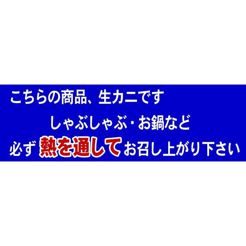 生ズワイガニ極太 かにしゃぶ　カニしゃぶ　6Lサイズ　500g(ずわいがに かにむき身 10〜15本入・ポーション)松葉蟹 鍋セット しゃぶしゃぶ ギフト