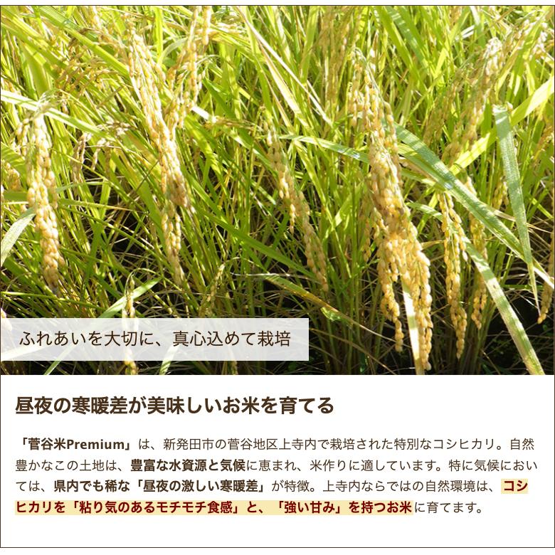 特別栽培米（減農薬・減化学肥料）新潟県産コシヒカリ「菅谷米Premium」精米10kg 居城農園 送料無料