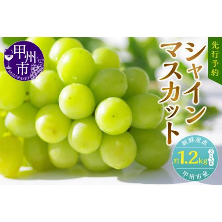 ふるさと納税 新鮮産直甲州市！シャインマスカット1.2kg2〜3房（KSF）B12-170 山梨県甲州市