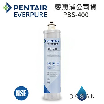 【愛惠浦 EVERPURE】PBS-400 雙溫加熱系統專用濾芯 PBS400  400  濾心