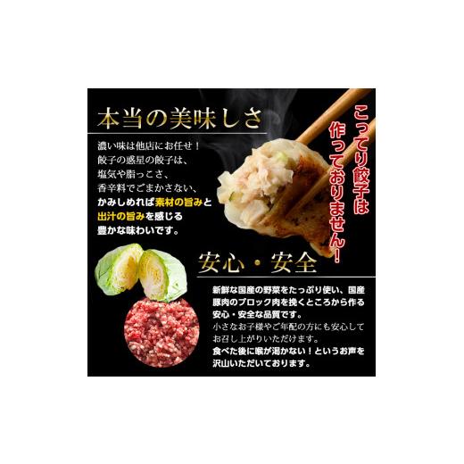 ふるさと納税 大阪府 箕面市 餃子の惑星のピリ辛れんこん餃子(合計72個)