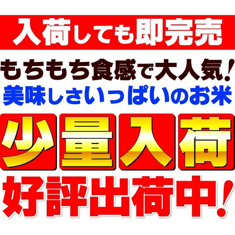 新米 米 お米 ミルキークィーン 茨城県産 5年産 白米 10kg 送料無料 一部地域除く