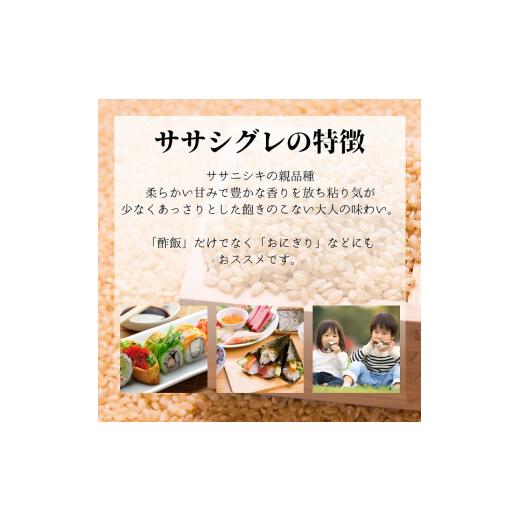 ふるさと納税 秋田県 にかほ市 ササニシキの親　農薬不使用のササシグレ「郷山のお米」5kg（玄米）