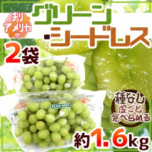 種なしぶどう ”グリーンシードレス” 2袋 約1.6kg ちょっと訳あり チリ・アメリカ産他 青ぶどう 送料無料