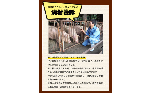 上ロースしゃぶしゃぶ 600g 清村養豚《60日以内に順次出荷(土日祝除く)》 豚 ロース しゃぶしゃぶ 冷しゃぶ 野菜炒め 清豚 冷凍 小分け 熊本県御船町