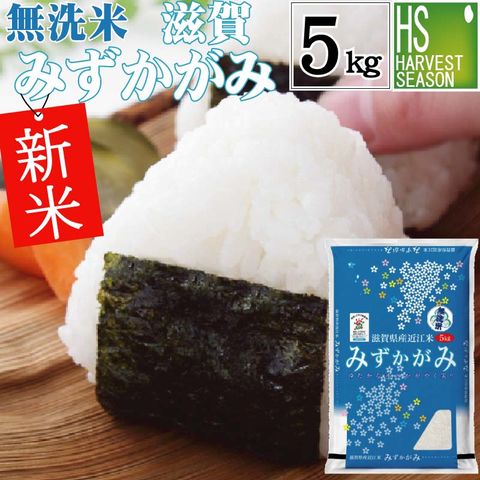 新米 令和5年産 無洗米 滋賀県産 みずかがみ 5kg 特別栽培米(環境こだわり栽培) 近江米[ハーベストシーズン]