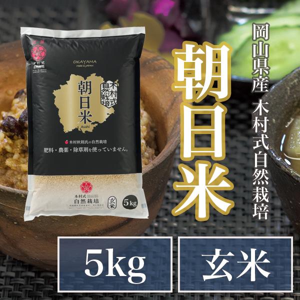 自然栽培 朝日米 20kg小袋×8 R4年 玄米 在来種 農薬不使用 肥料不使用