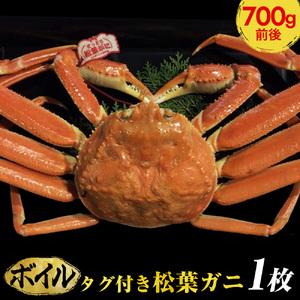 ふるさと納税 タグ付き松葉ガニ　中1枚（700g前後）◇ ※2023年11月〜2024年3月発送予定《かに カニ 蟹》 鳥取県北栄町