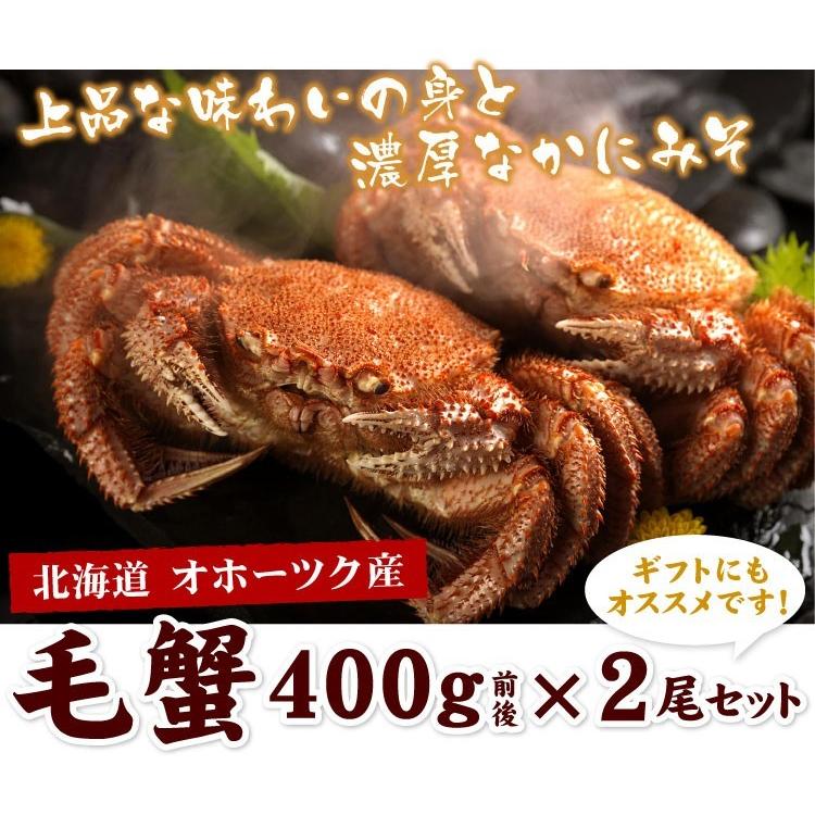 北海道 毛蟹 毛ガニ 400g前後×2尾入 取り寄せ 送料無料（沖縄宛は別途送料を加算）