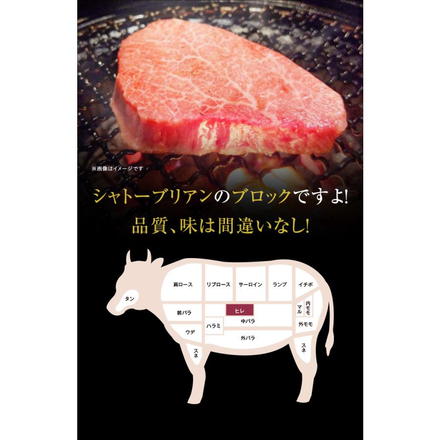 ギフト お中元 御中元 九州産黒毛和牛ヒレ シャトーブリアン ブロック 500g ステーキ用  BBQ バーベキュー 送料無料 御歳暮 お歳暮 化粧箱