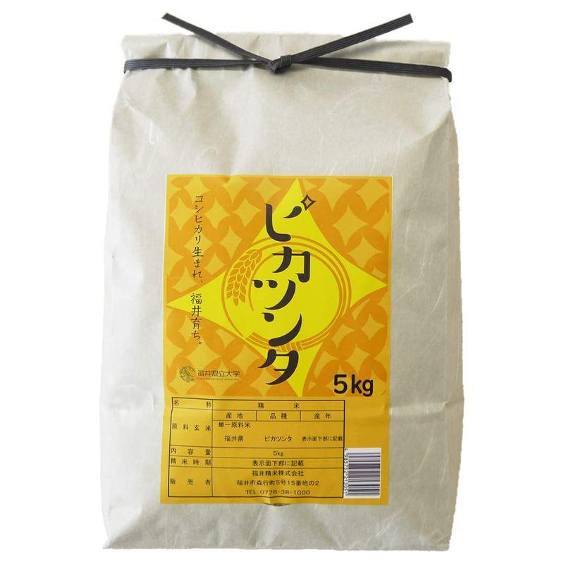 福井県産ピカツンタ 白米 令和4年産 限定品種 (5kg)