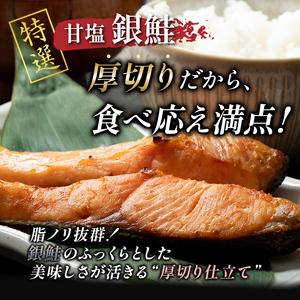 ふるさと納税 小分け 真空保存 紅鮭 銀鮭 食べ比べ 計18切 紅鮭 × 3切れ ×3パック 銀鮭 × 3切れ×3パック しゃけ シャケ さ.. 北海道釧路市