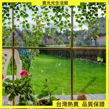 💥台灣热卖💥 新款綠色清新藤蔓葉子靜電貼櫥窗玻璃貼雙面印刷可視裝飾家用牆貼