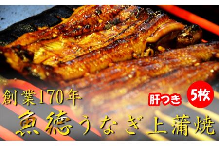 創業170年　うなぎ上蒲焼　5枚セット　肝つきで焼いています