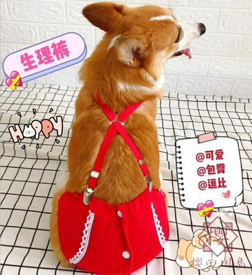 狗狗生理褲寵物月經褲母狗大姨媽小型安全褲【櫻田川島】