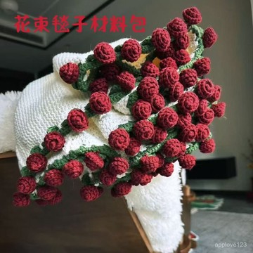 🔥48臺灣夯貨+99免運✨【獨家設計】手作DIY玫瑰花束毯子材料包 附敎學影片+送鉤針工具組 創意閨蜜禮物 療癒紓壓手