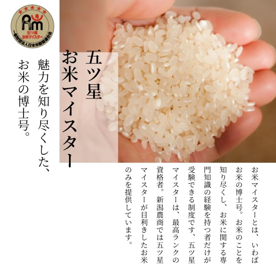 新米 令和５年産 米 お米 送料無料 10kg (5kg×2) 新潟県産 虹の煌めき 精米 白米 大粒 新品種 業務用 家庭用