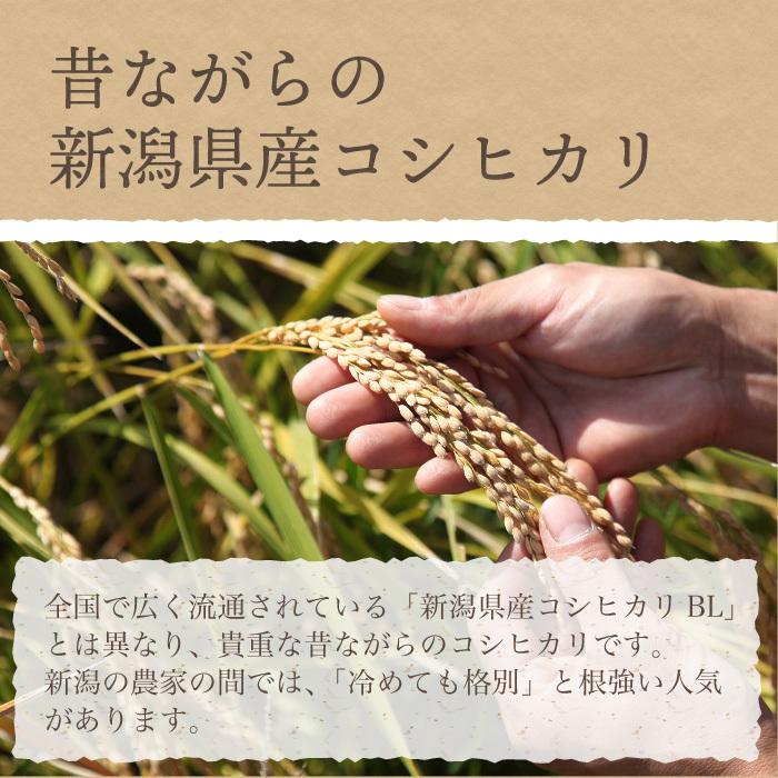 無洗米 新潟県産 コシヒカリ 特別栽培米 5kg 令和5年産 新米 こしひかり 5キロ 農家直送 減農薬
