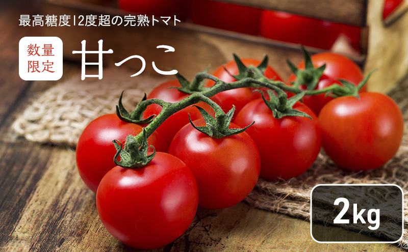 北海道 富良野市産 完熟ミニトマト（甘っこ）約2kg カラートマト・ぷちぷよ付 トマト 甘い 野菜 新鮮 数量限定 先着順
