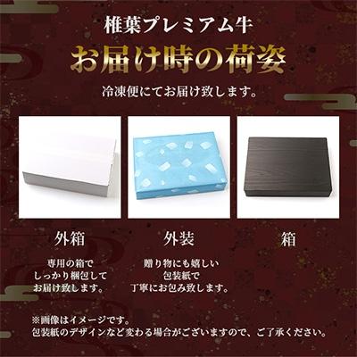 ふるさと納税 椎葉村 宮崎県産 椎葉プレミアム牛 焼肉セット