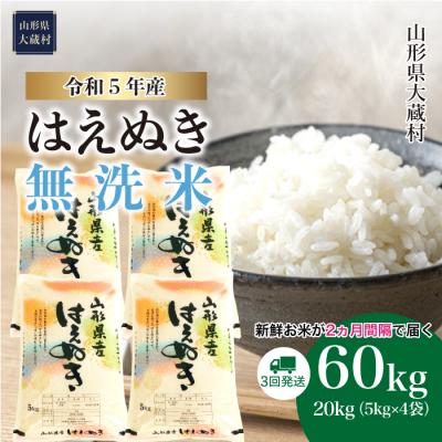 ふるさと納税 大蔵村 令和5年産 はえぬき60kg定期便(20kg×3回)　山形県大蔵村