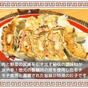 ふるさと納税 餃子 ぎょうざ 野菜餃子 手作り餃子 1袋(350ｇ／12個入) 4袋 計48個(1.4kg) 国産 冷凍 惣菜 手作り 新潟県 南魚沼市 コメトハナ .. 新潟県南魚沼市