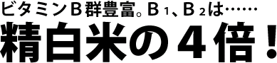 年越しそば  越前そば 4食 越前蕎麦 そばつゆ 付き お土産 そば 蕎麦 ((冷蔵))