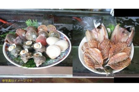 （冷蔵）伊勢志摩　海鮮　BBQセット／鈴木水産　海の幸　大あさり　サザエ　ヒオウギ貝　干物　あじ　鯵　サバ　鯖