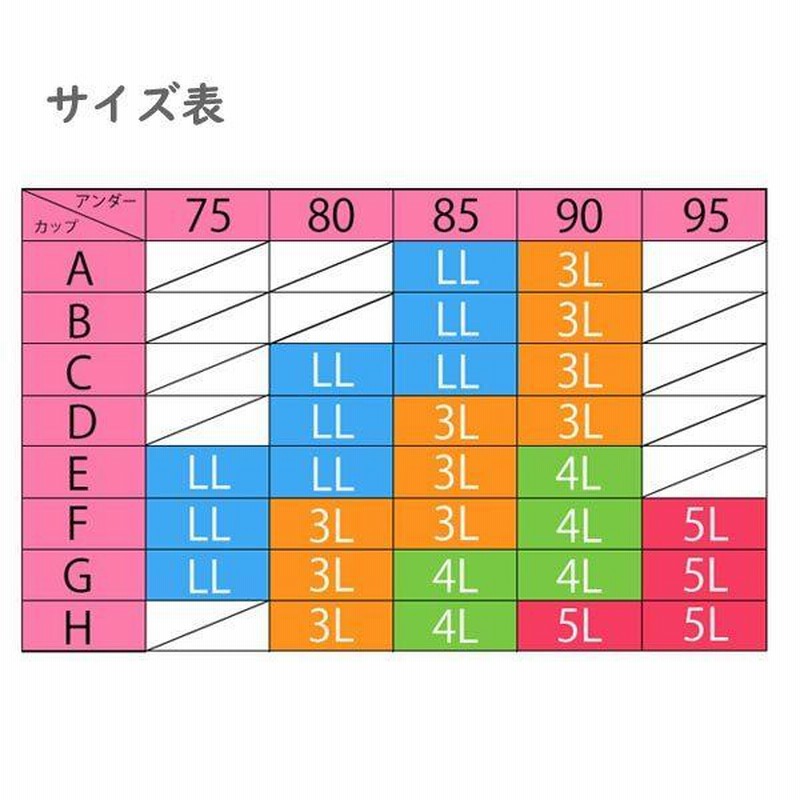 大きいサイズ ノンワイヤー ブラショーツ ブラセット 下着 上下