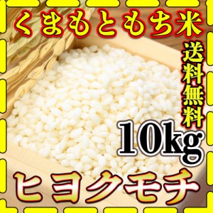 お米 米 10kg 白米 送料無料 熊本県産 ヒヨクモチ もち米 新米 令和5年産 5kg2個 くまもとのお米 富田商店 とみた商店