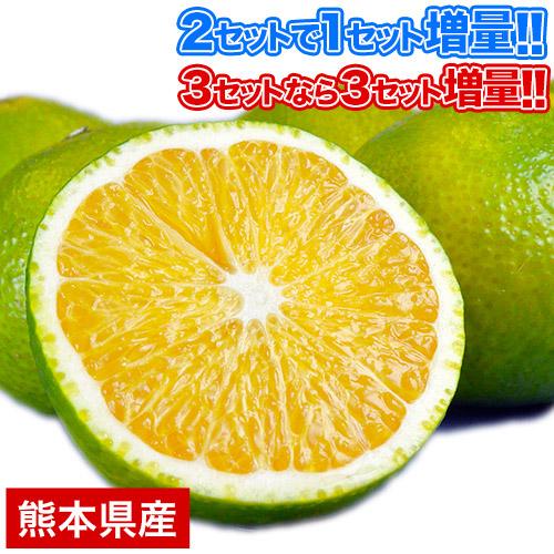 スイートスプリング 1.5kg 訳あり 熊本県産 送料無料 旬 の みかん   (3L〜Sサイズ 3L-S混合)  12月上旬〜12月下旬頃より発送予定