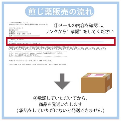 小柴胡湯１０日分(１０包)煎じ薬 かぜ後期の諸症状、食欲不振、吐き気