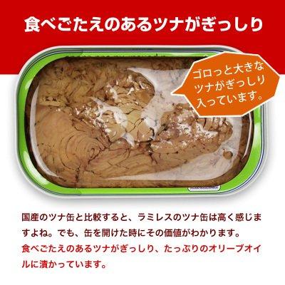 ツナのオリーブオイル漬け110g 20個セット