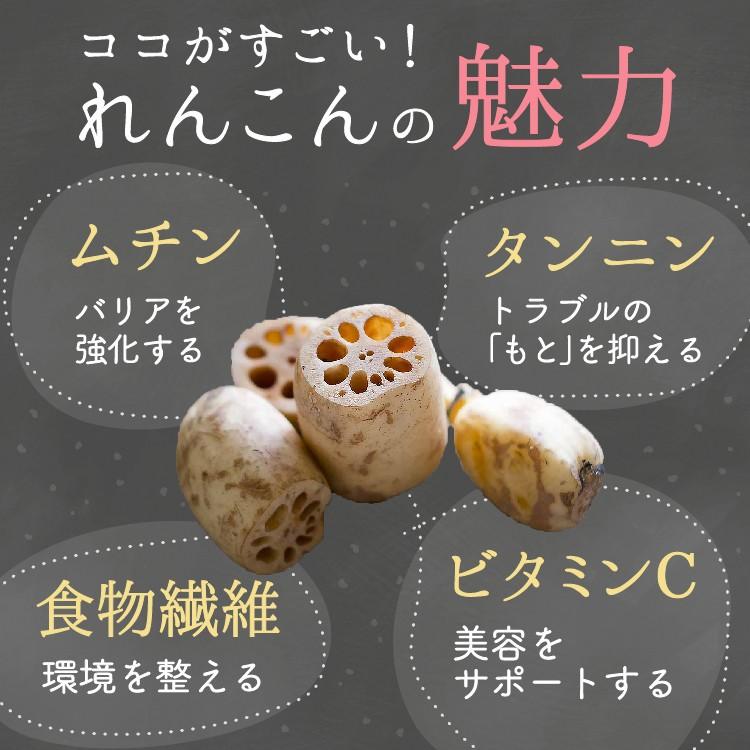 れんこん レンコンパウダー  れんこん九州産 100g メール便 ギフト プレゼント セール 食品 お試し lotus