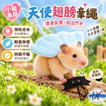 【DC寵物有發票】🐾小寵專用天使翅膀牽繩 小寵牽引繩 外出牽引繩  天使翅膀寵物牽繩 小寵胸背帶 外出放風繩 B095