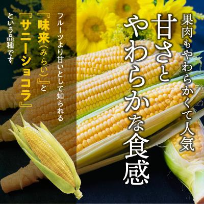 ふるさと納税 碧南市 朝採り直送 メロンより甘い 生とうもろこし“にっこりコーン” 3本 H095-025