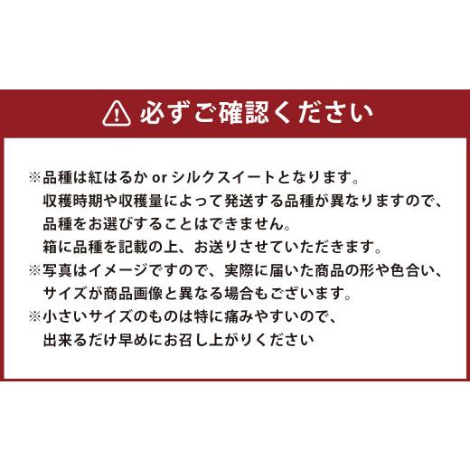 ふるさと納税 熊本県 合志市  訳あり 不揃い さつまいも 紅はるか シルクスイート 約5kg×1箱（S〜2Lサイズ混合）