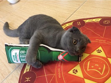 酒瓶貓草包 貓草 貓玩具