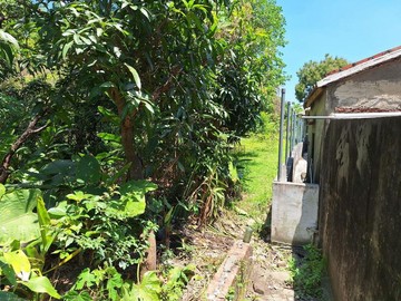 旗山方正旗甲公路大面寬旗南二路｜高雄市旗山區大山段