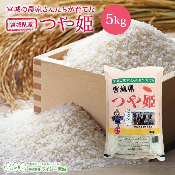 新米 つや姫 5kg 米 米5kg お米 白米 宮城県産 令和5年産 送料無料 5kg 精米