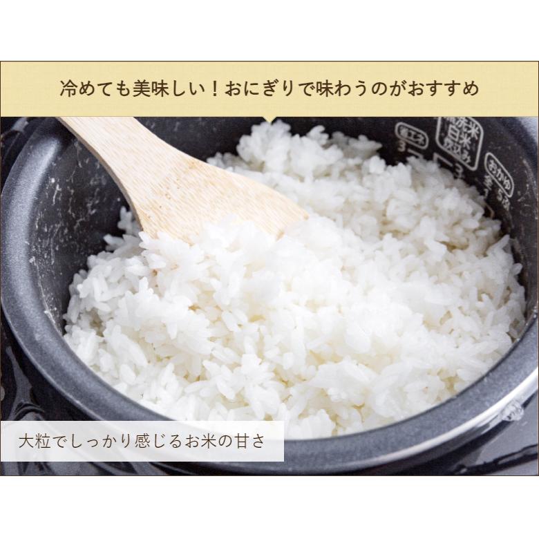 特別栽培米（減農薬・減化学肥料）新潟産コシヒカリ「ひすいの雫」精米2kg（1kg×2袋）磯貝農場 料無料