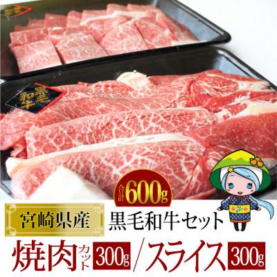 ふるさと納税 美郷町 宮崎県産黒毛和牛焼肉・スライスセット合計約600g