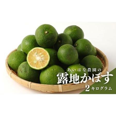 ふるさと納税 A-364露地カボス 2kg かぼす カボス 黄かぼす 黄カボス 柑橘 青果 くだもの 果物 フルーツ 大分県産 国産 大分県宇佐市