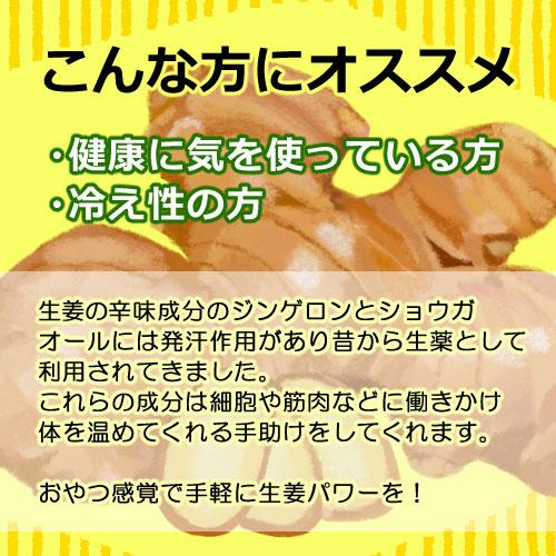 生姜糖 600g ドライフルーツ 江戸屋 ダイエット食品 健康