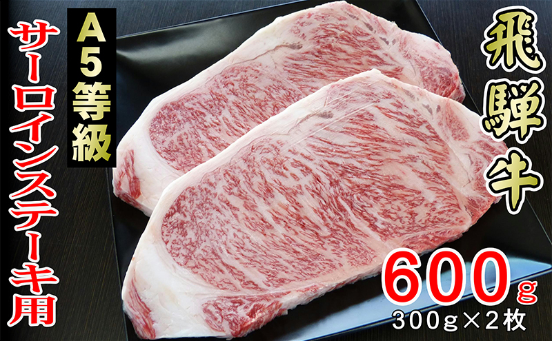 牛肉 飛騨牛 サーロイン ステーキ セット 600g（1枚 約300g×2枚） 黒毛和牛 Ａ5 美味しい お肉 牛 肉 和牛 サーロインステーキ 