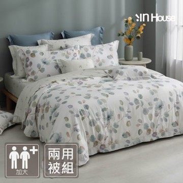 IN-HOUSE-80支天絲埃及棉兩用被床包組(翠影芙蓉-加大)