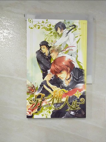 【書寶二手書T4／言情小說_XJD】另一種人生 11_聿暘