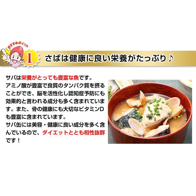 サバ 缶詰 さば缶 サラダサバ 170g×12缶