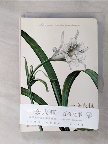 【書寶二手書T7／藝術_IVI】一念永恆_簡體_阿萊